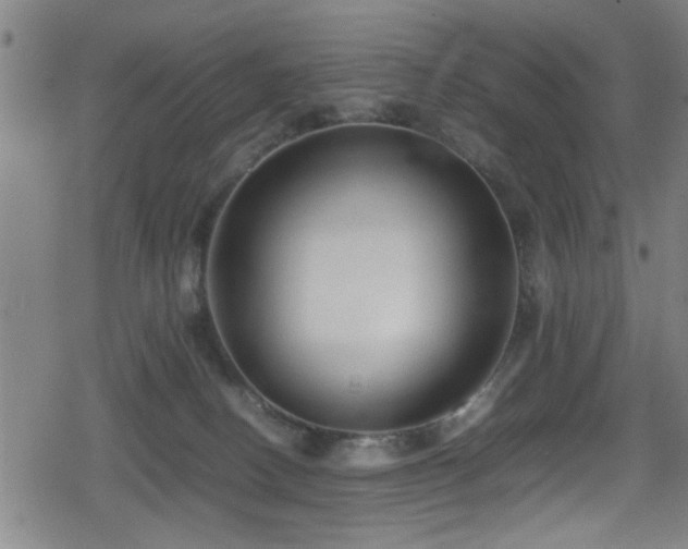 X0000078860082200611131214