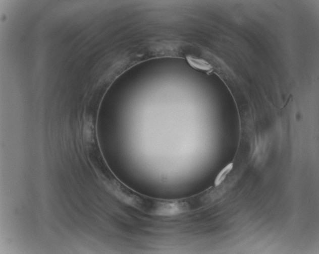 X0000078860083200611131214