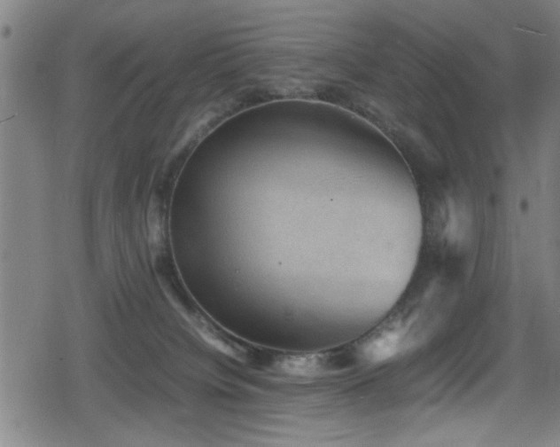 X0000078860084200611131214