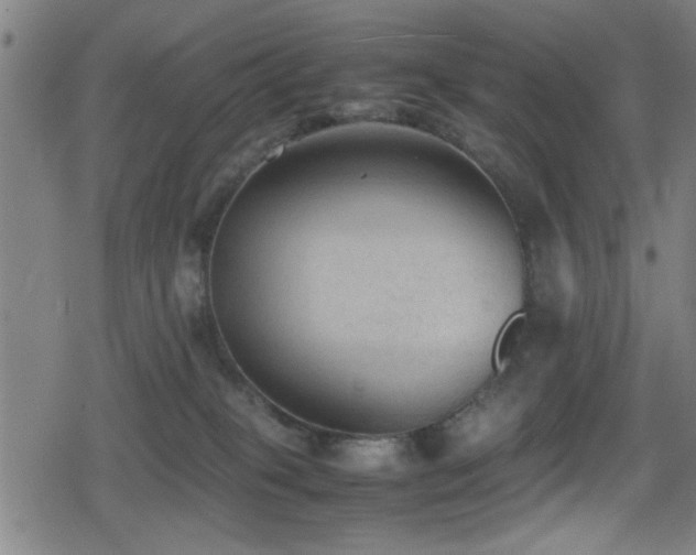 X0000078860085200611131214