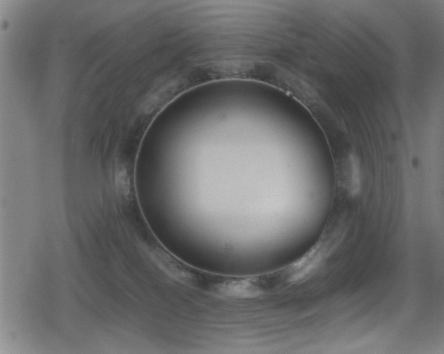 X0000078860086200611131214