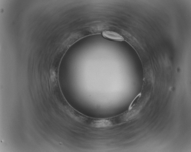 X0000078860087200611131214