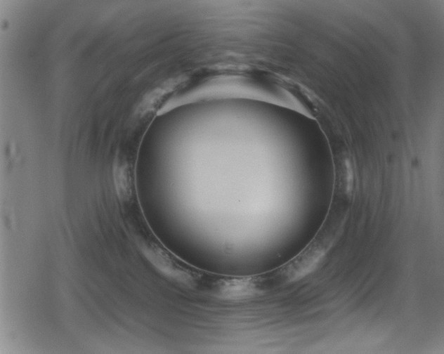 X0000078860088200611131214