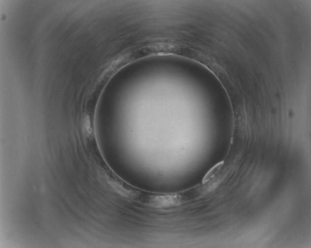 X0000078860089200611131214