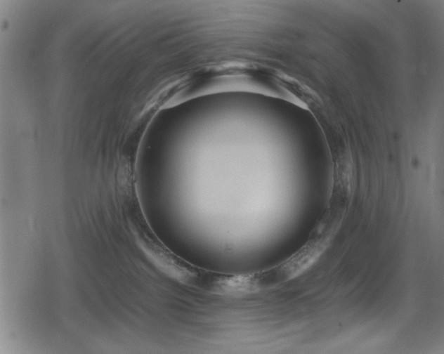 X0000078860092200611131214