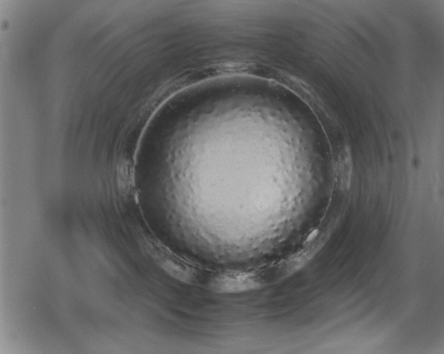 X0000078860093200611131214