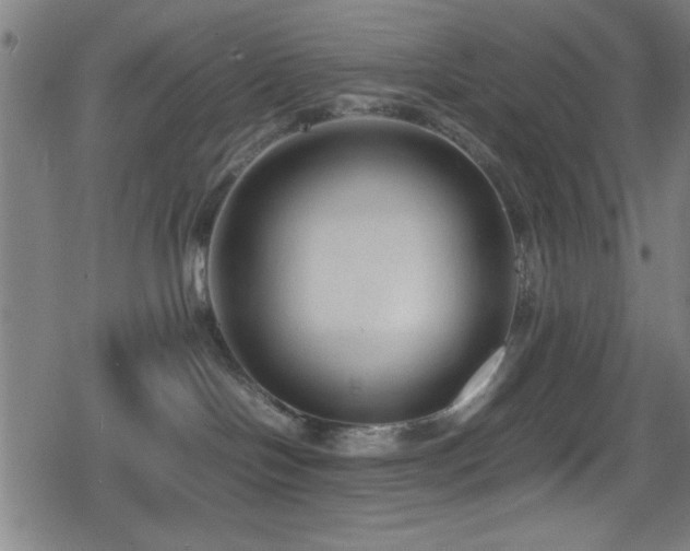 X0000078860094200611131214