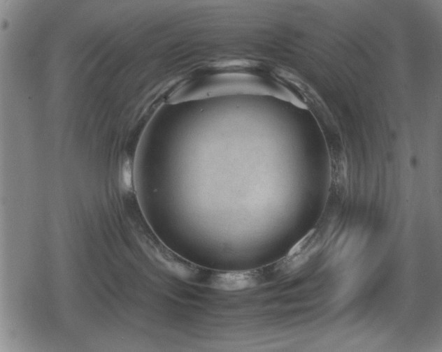 X0000078860095200611131214