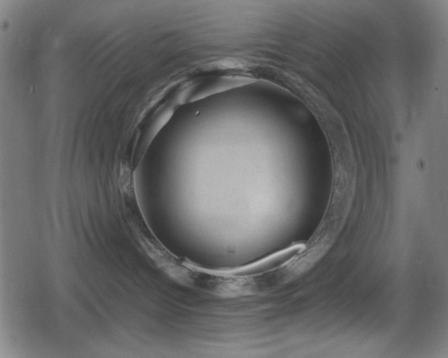 X0000078860096200611131214