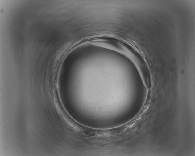 X0000078860097200611131213