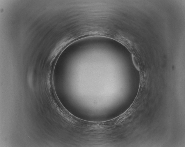 X0000078860098200611131213