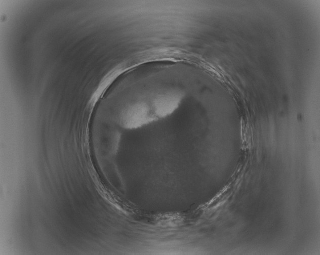 X0000078860099200611131213