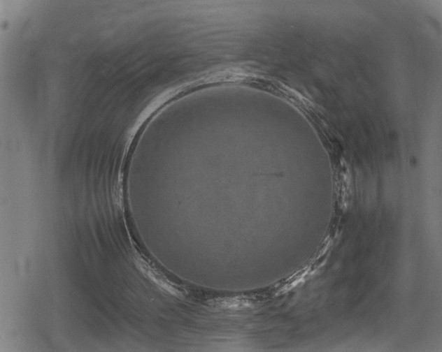 X0000078860100200611131213