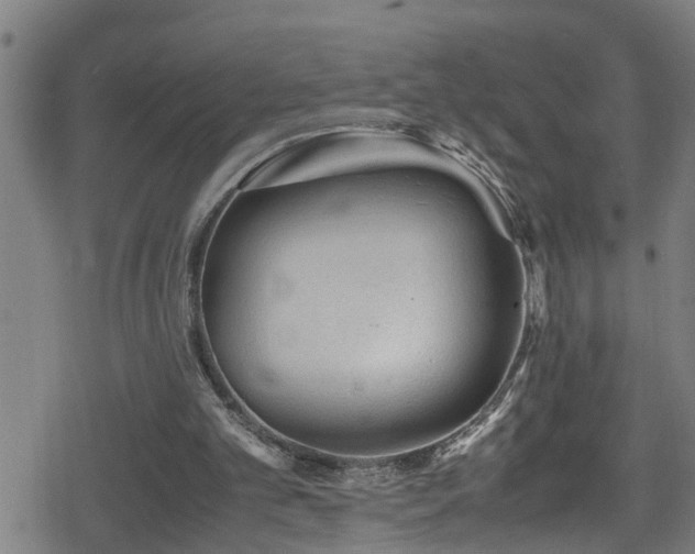 X0000078860101200611131213