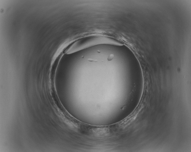 X0000078860102200611131213