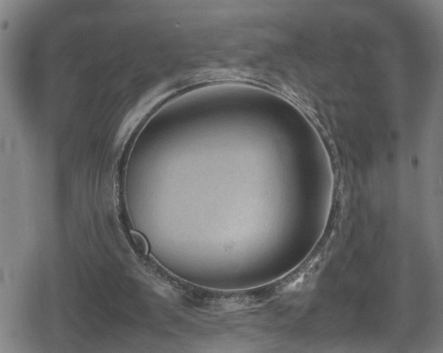 X0000078860103200611131213