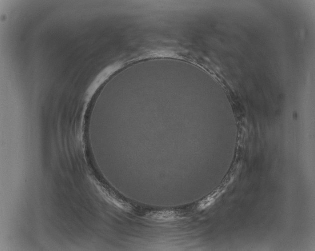 X0000078860104200611131213