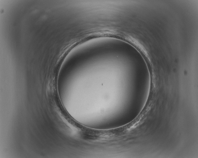 X0000078860105200611131213