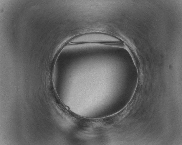 X0000078860107200611131213