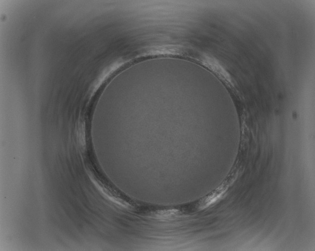 X0000078860108200611131213