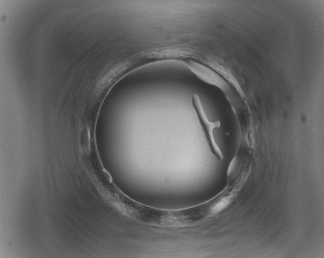 X0000078860109200611131213