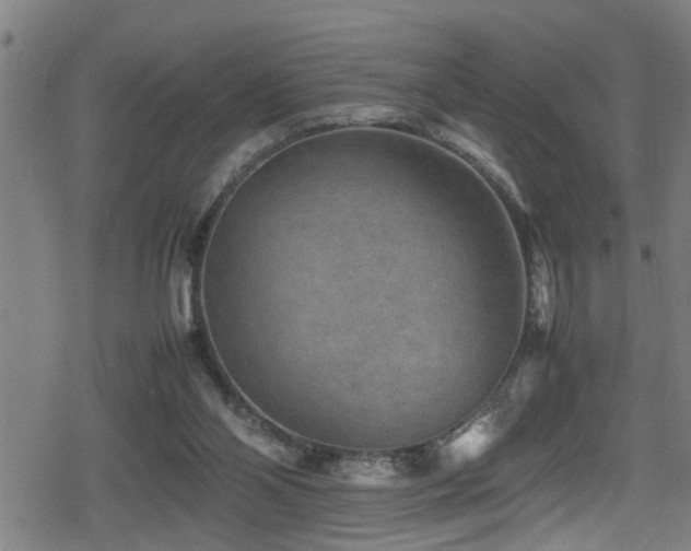 X0000078860110200611131213