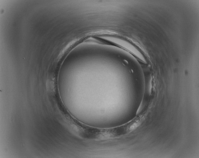 X0000078860111200611131213