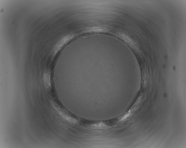 X0000078860112200611131213