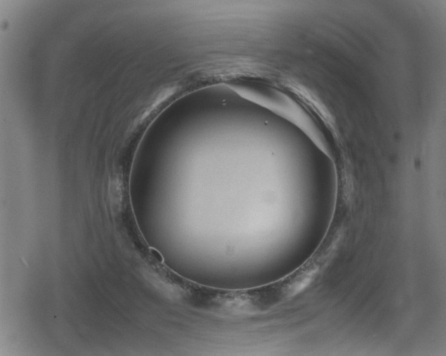 X0000078860113200611131213