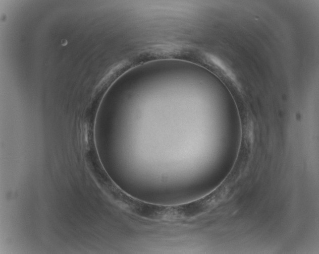 X0000078860115200611131213