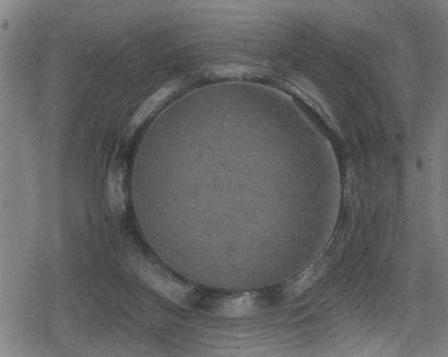 X0000078860116200611131213