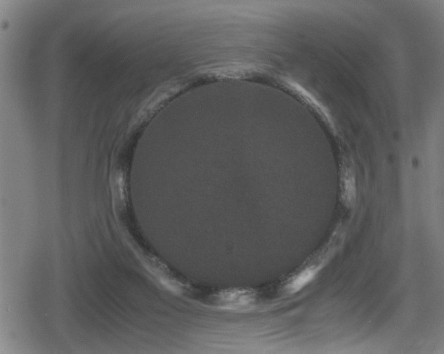 X0000078860117200611131213