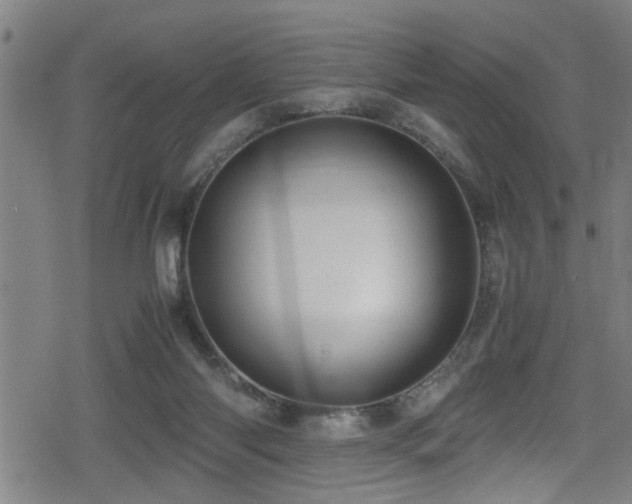 X0000078860118200611131213