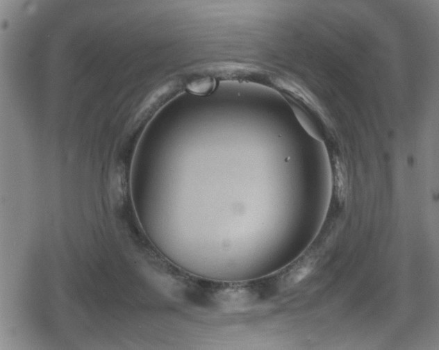 X0000078860119200611131213