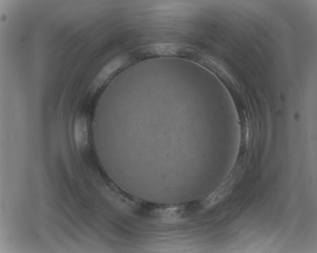 X0000078860120200611131213