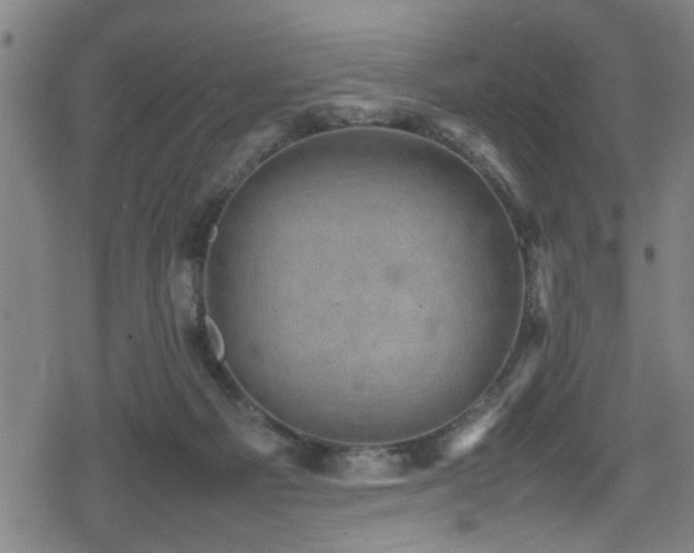 X0000078860121200611131213