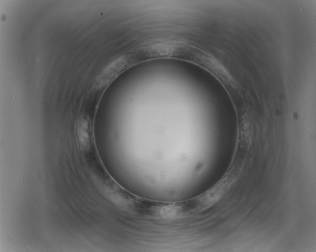 X0000078860122200611131213