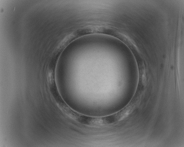 X0000078860123200611131213