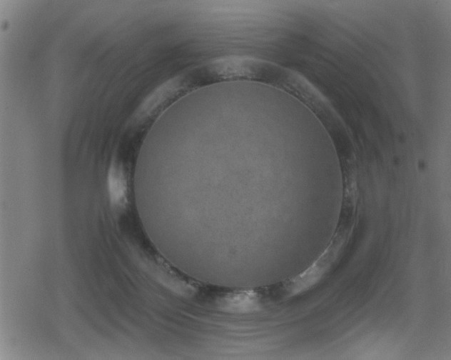 X0000078860124200611131213