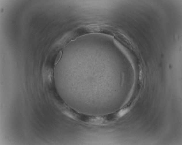 X0000078860125200611131212