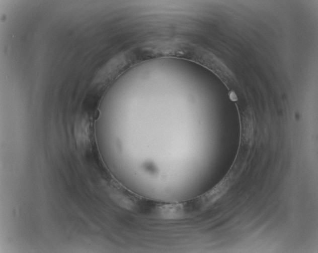 X0000078860126200611131212