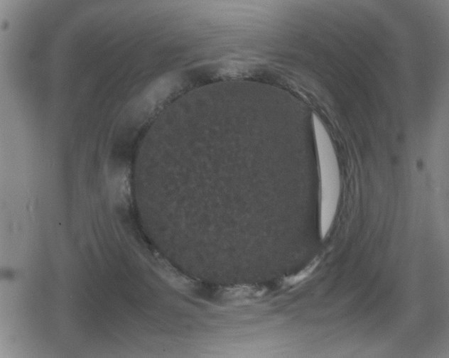 X0000078860127200611131212