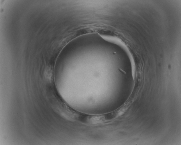 X0000078860129200611131212