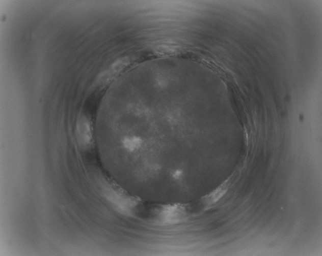 X0000078860130200611131212