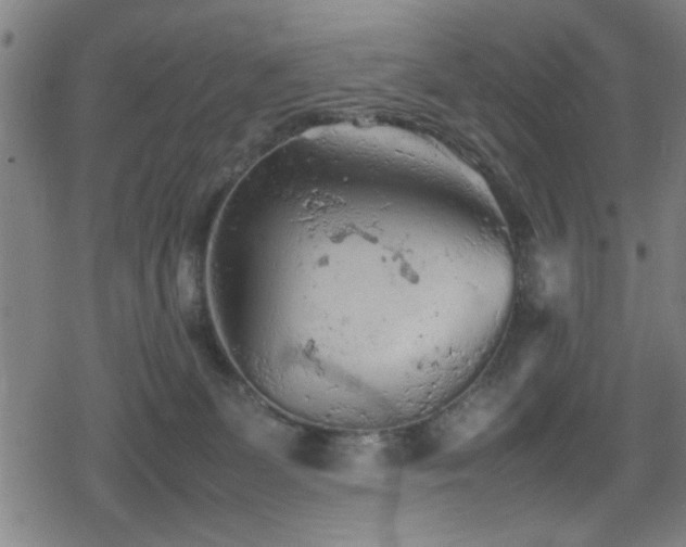 X0000078860131200611131212