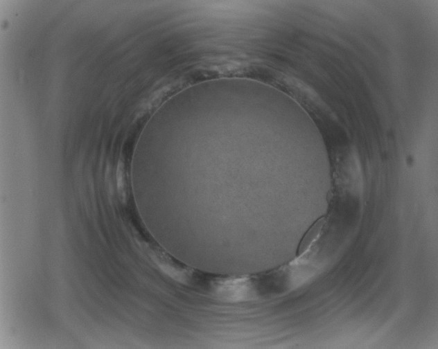 X0000078860132200611131212