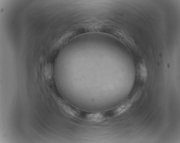 X0000078860133200611131212