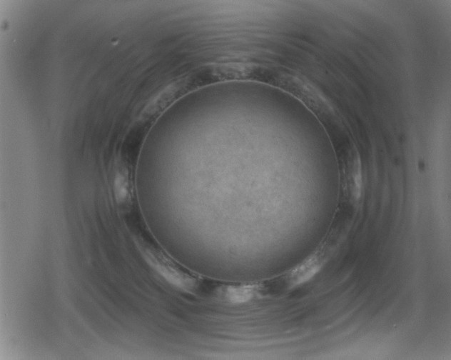 X0000078860134200611131212