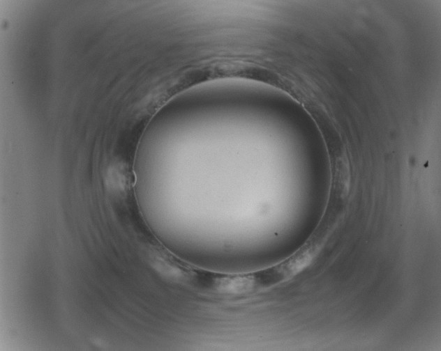 X0000078860135200611131212