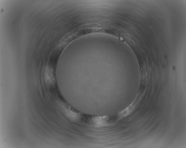 X0000078860136200611131212